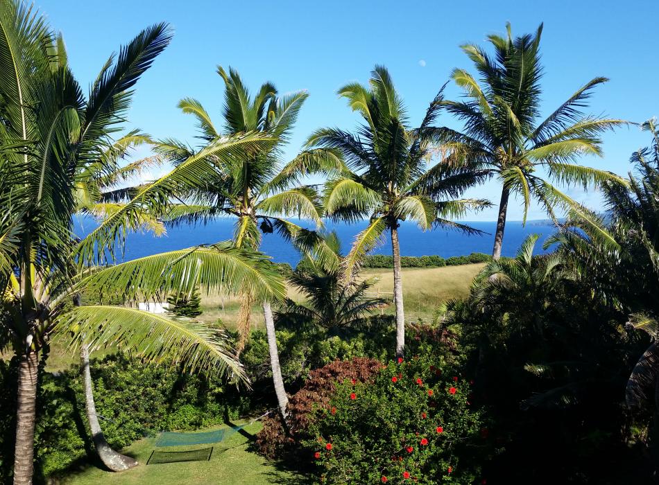 Raisons pour lesquelles vous devriez réserver une location en temps de partagé à Maui